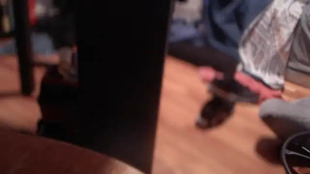 flexingplexico online show from March 2025 12:04:01 AM