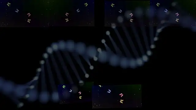 OwenBluee online show from January 2025 09:33:02 AM