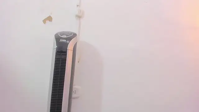 penelope handaos online show from December 2024 05:31:02 AM