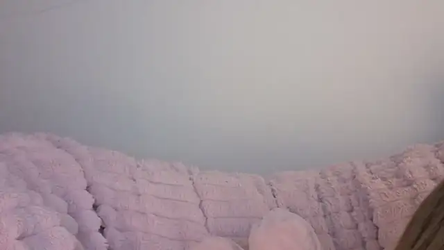 Snapshot of SofiaGc chatting on January 2026 03:42:02 AM SofiaGc online show from January 2026 03:42:02 AM