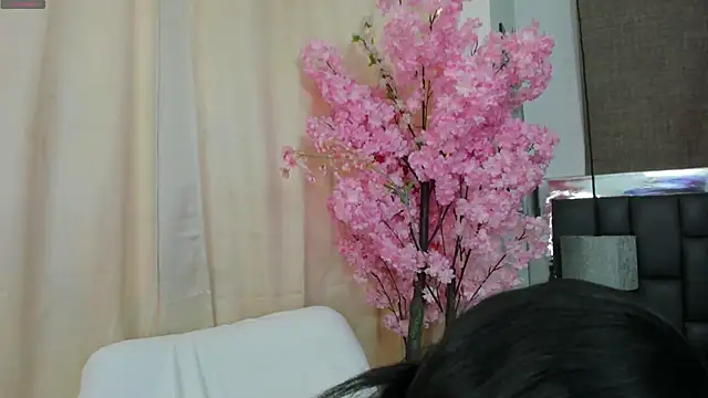  cat 18 online show from March 2025 05:12:02 PM