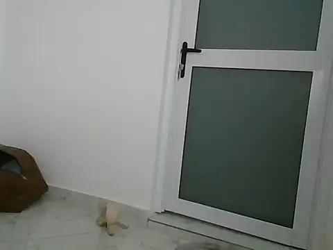 lugari online show from December 2024 10:19:01 PM