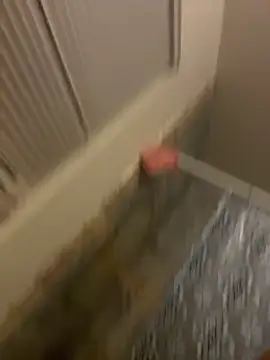 Snapshot of prettlovely14 chatting on February 2026 04:42:01 AM prettlovely14 online show from February 2026 04:42:01 AM