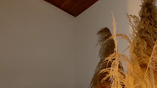 SaraFerreira online show from December 2024 11:47:01 PM