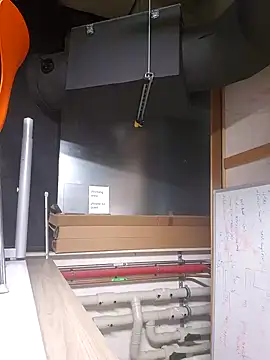 andrejoyfull64 online show from December 2024 01:00:02 PM