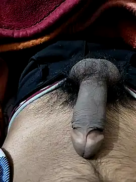 PAWARXX 0 online show from January 2025 05:22:02 PM