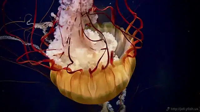 Snapshot of streamy_test15 chatting on November 2025 03:14:02 PM streamy test15 online show from November 2025 03:14:02 PM