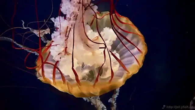 Snapshot of streamy_test15 chatting on February 2026 09:36:02 AM streamy test15 online show from February 2026 09:36:02 AM