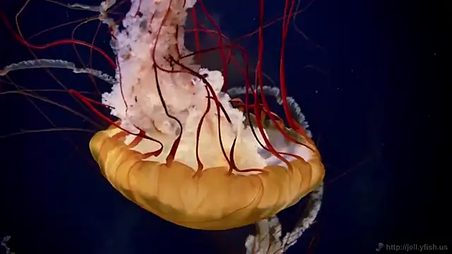 Snapshot of streamy_test15 chatting on March 2026 01:40:02 PM streamy test15 online show from March 2026 01:40:02 PM