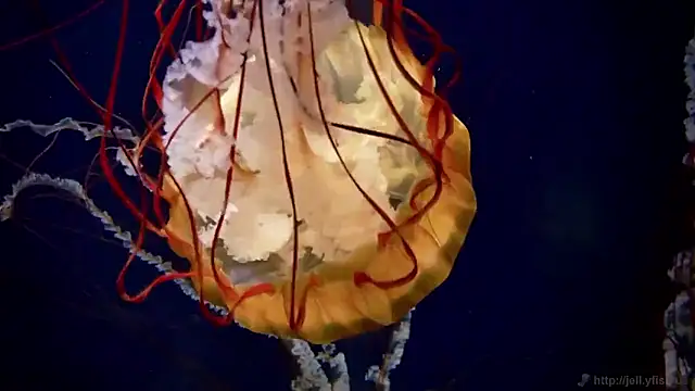 Snapshot of streamy_test15 chatting on March 2026 10:08:01 AM streamy test15 online show from March 2026 10:08:01 AM