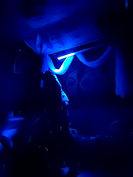 Gillygilly76 online show from March 2025 11:41:01 AM