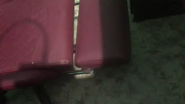 telugu boy  online show from February 2025 01:11:02 PM