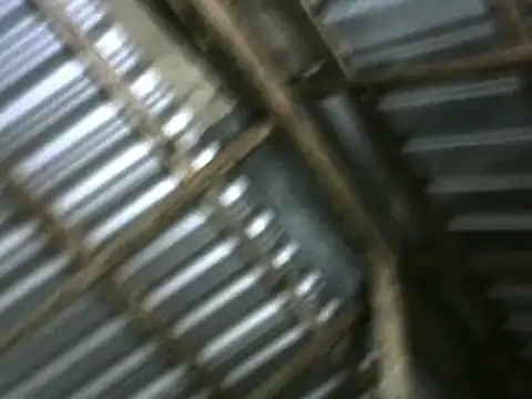 michel sc online show from October 2025 10:24:02 AM