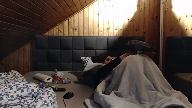 Snapshot of BoeseMoni1998 chatting on February 2025 07:10:01 PM BoeseMoni1998 online show from February 2025 07:10:01 PM