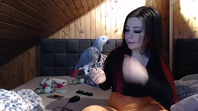 Snapshot of BoeseMoni1998 chatting on February 2025 05:55:02 AM BoeseMoni1998 online show from February 2025 05:55:02 AM