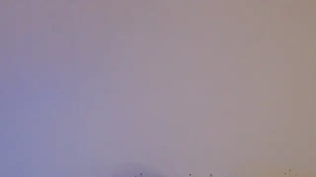 daiki sx online show from January 2025 01:47:01 PM