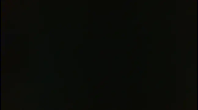 Geisha Seniers online show from January 2025 03:15:02 PM