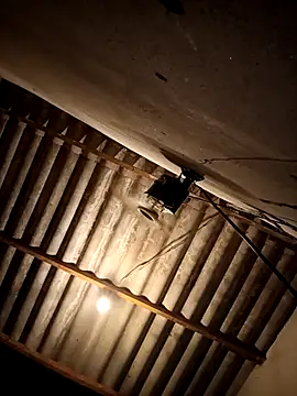 eupica1195 online show from October 2025 04:22:02 AM