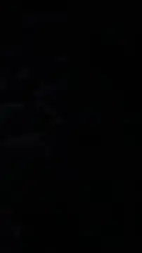 eupica1195 online show from November 2025 06:39:03 AM