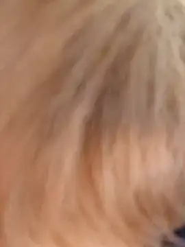 Unforgettable ket online show from January 2025 04:54:02 PM