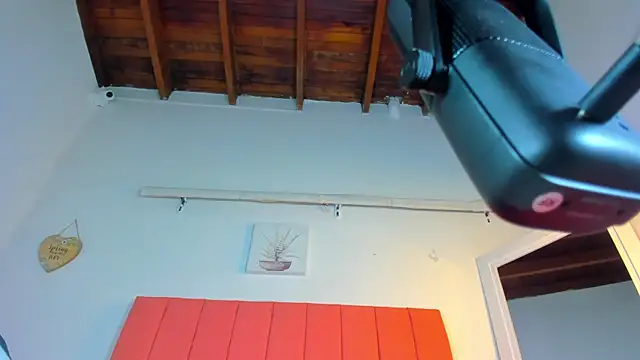 valen rose0 online show from November 2025 12:07:01 PM