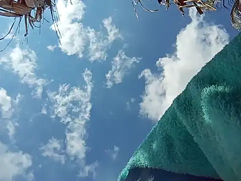 natally ross21 online show from December 2024 03:45:02 PM