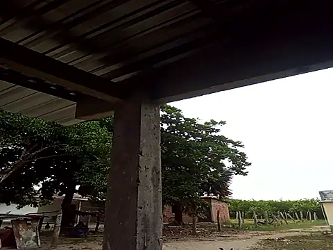 natally ross21 online show from December 2025 12:01:01 PM