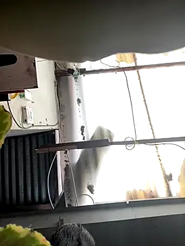 Snapshot of luna_asss chatting on October 2025 07:30:02 PM luna asss online show from October 2025 07:30:02 PM