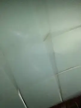 Snapshot of luna_asss chatting on February 2026 12:29:01 AM luna asss online show from February 2026 12:29:01 AM