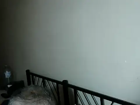 100Tauros online show from November 2025 03:25:02 PM