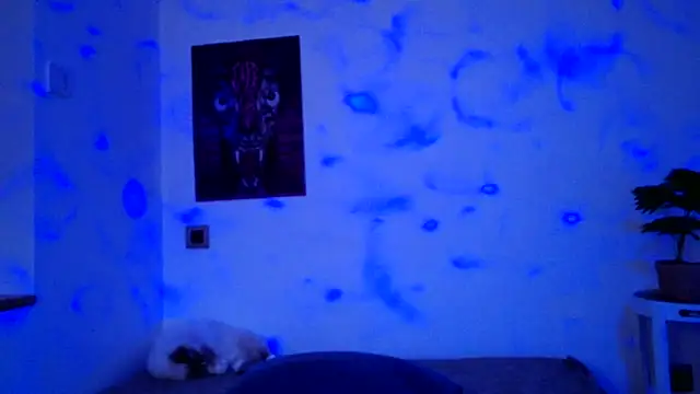 ValeryCrowley14 online show from January 2026 09:03:02 AM