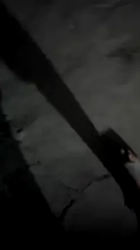 mendelicius online show from March 2026 03:24:01 AM