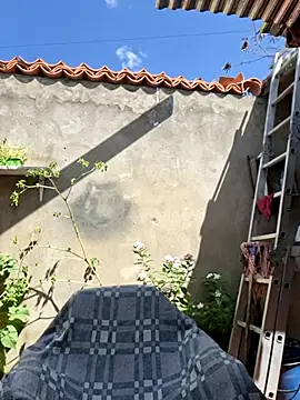 room 24funn online show from November 2025 03:00:02 PM