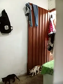 Andreita 95 online show from November 2025 11:31:02 AM