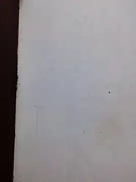 AmnionicDemeanor online show from November 2025 11:56:01 AM