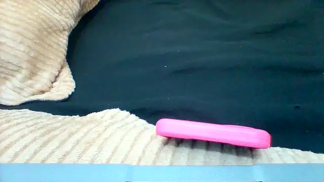 Pritdoly online show from March 2026 08:26:33 AM