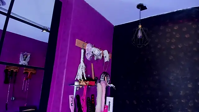 Snapshot of Alexa_Slave chatting on December 2025 07:30:02 PM Alexa Slave online show from December 2025 07:30:02 PM