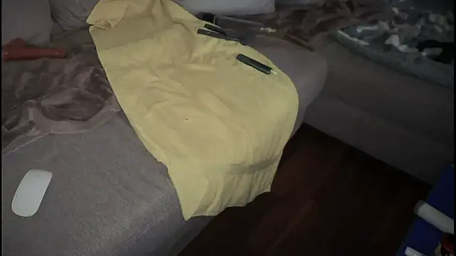 Snapshot of swissMen_DE chatting on February 2025 08:12:02 AM swissMen DE online show from February 2025 08:12:02 AM