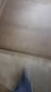 Snapshot of goodboybaddaddy chatting on December 2024 02:54:02 PM goodboybaddaddy online show from December 2024 02:54:02 PM