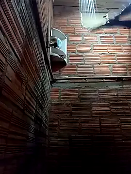 RS1995Poa1 online show from February 2025 02:06:02 AM