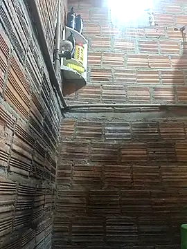 RS1995Poa1 online show from December 2025 10:13:01 AM