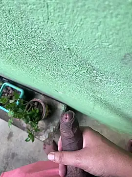 king cum  online show from December 2024 12:16:01 PM