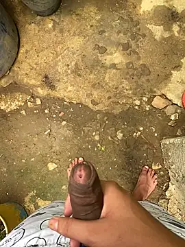 king cum  online show from February 2025 12:43:01 PM