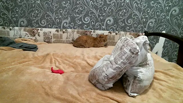 DennisXCaroll online show from February 2025 05:27:01 PM