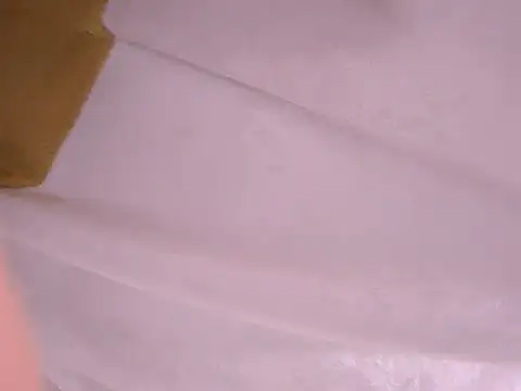 tatsumi nao online show from January 2025 11:32:01 PM