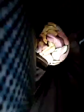 Policeman20742 online show from February 2025 06:09:02 PM