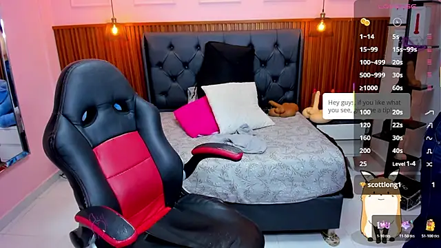 Snapshot of MEYLAGIA chatting on January 2026 03:11:01 AM MEYLAGIA online show from January 2026 03:11:01 AM