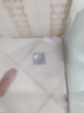 carvalhesco online show from December 2025 03:33:02 AM