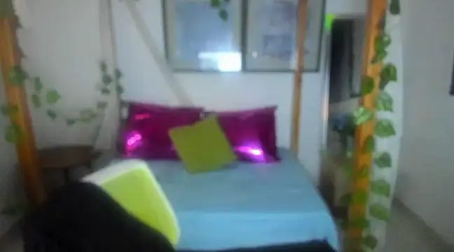 Snapshot of lussyevans24 chatting on February 2025 04:35:01 AM lussyevans24 online show from February 2025 04:35:01 AM