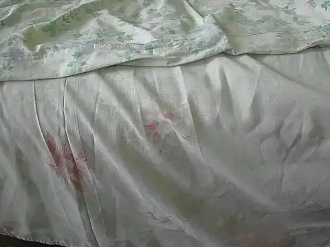 Tiger202441 online show from December 2024 12:04:01 PM